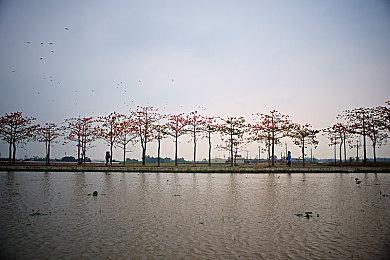 寻找萨瓦图恩预言真相，《命运2》邪姬魅影剧情探究